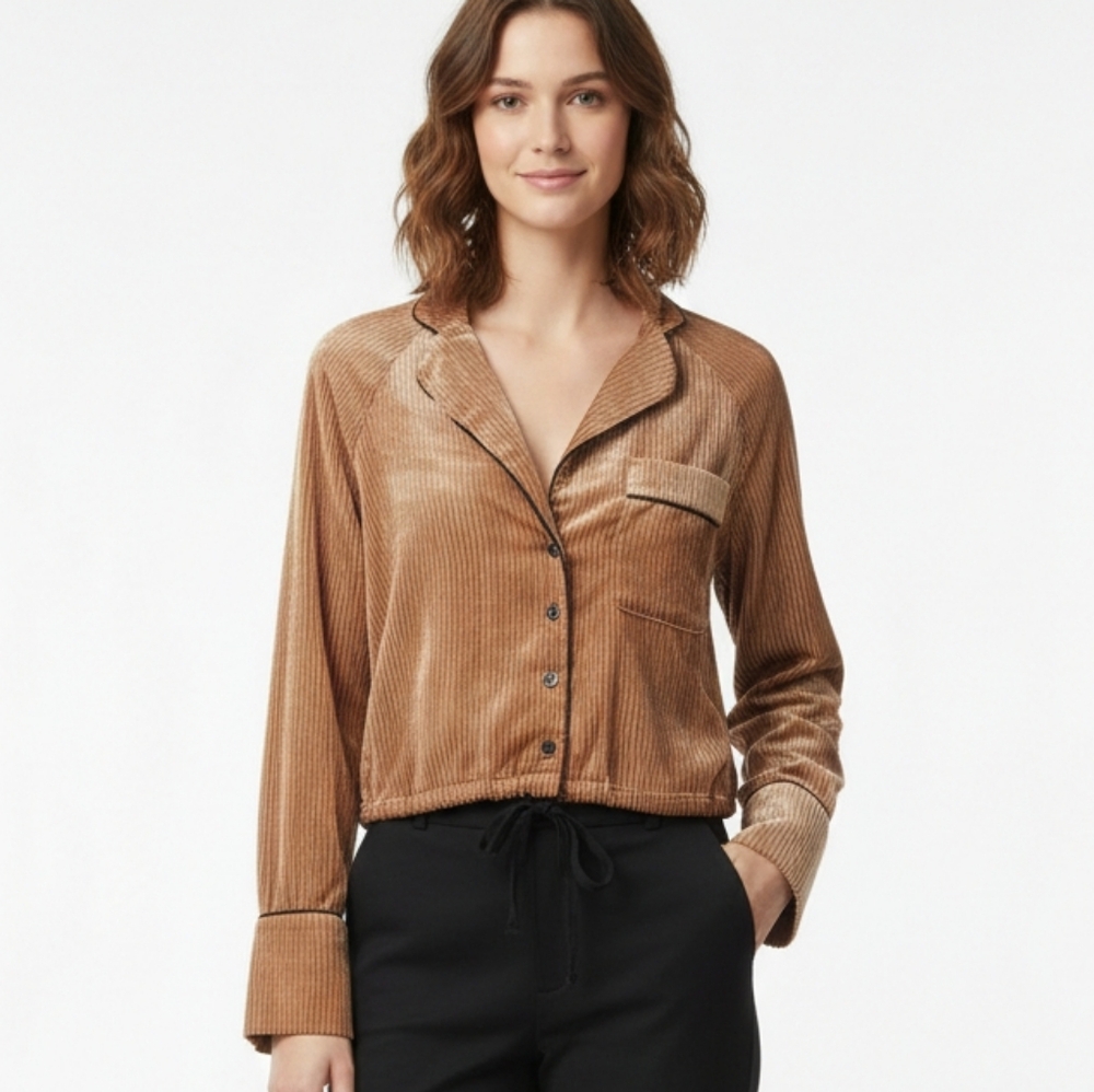 Free People Blouse Brown Velour Sheer Boho Grunge XS